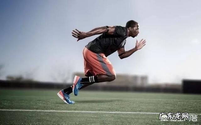 有哪些系统的健身方案?