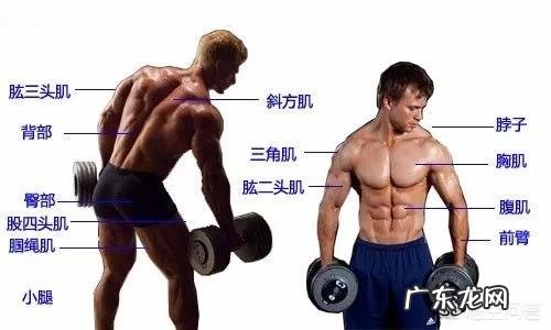 有哪些系统的健身方案?