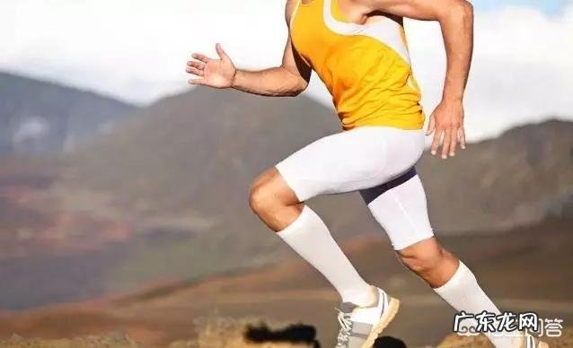 有哪些系统的健身方案?