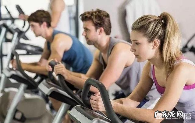 有哪些系统的健身方案?