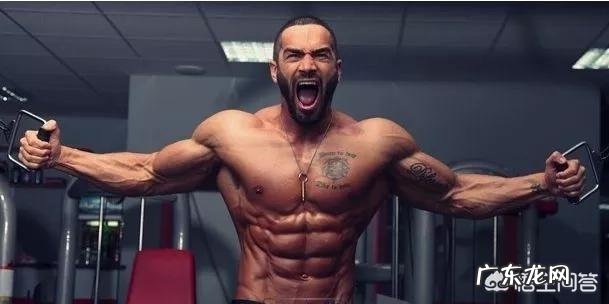 有哪些系统的健身方案?