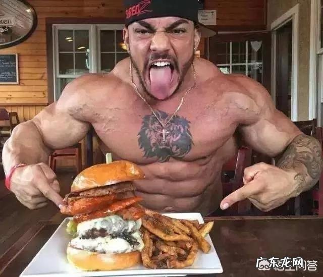 有哪些系统的健身方案?