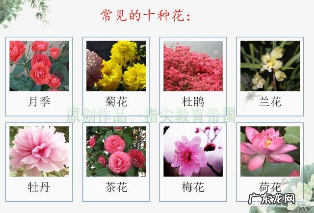 如果想提前教给孩子一些知识,最好让孩子学哪些内容?