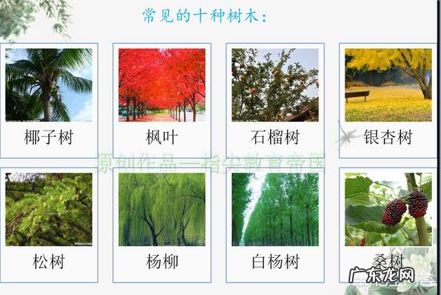 如果想提前教给孩子一些知识,最好让孩子学哪些内容?