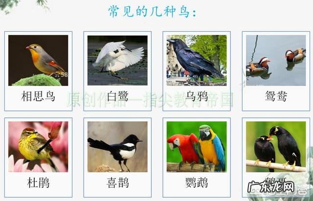 如果想提前教给孩子一些知识,最好让孩子学哪些内容?