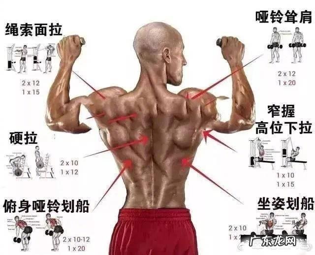 蛋白质粉是否可以增肥?