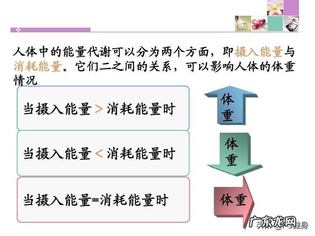 蛋白质粉是否可以增肥?