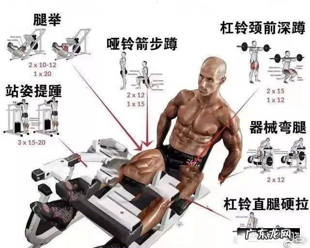 蛋白质粉是否可以增肥?