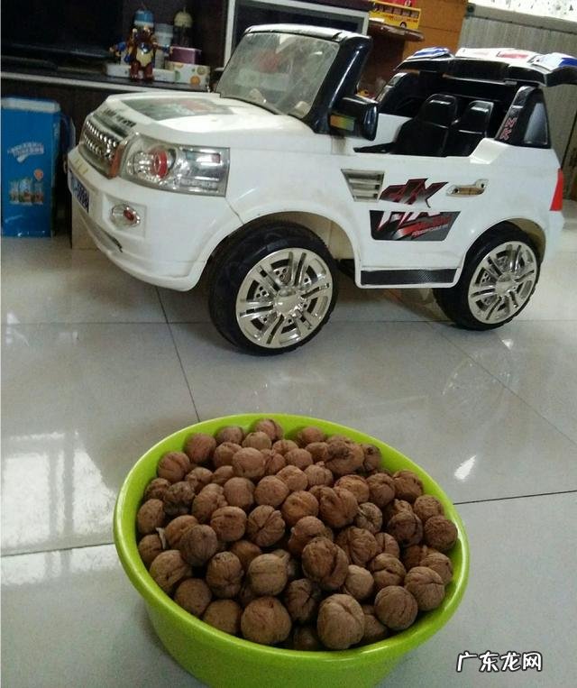 全世界有哪些益于小孩和大人的营养食物?