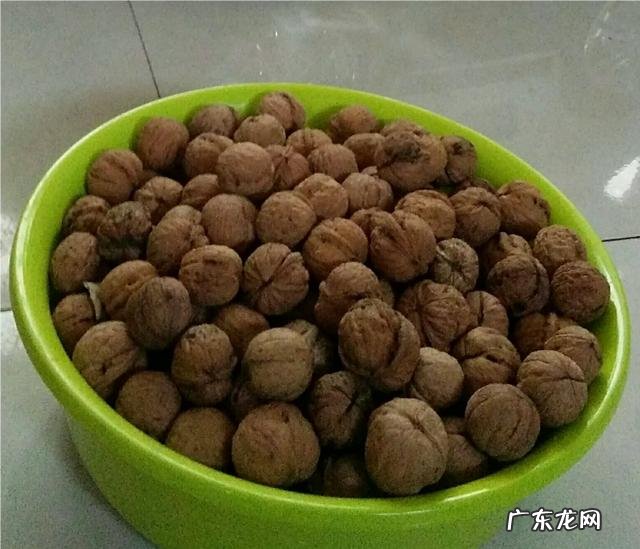 全世界有哪些益于小孩和大人的营养食物?