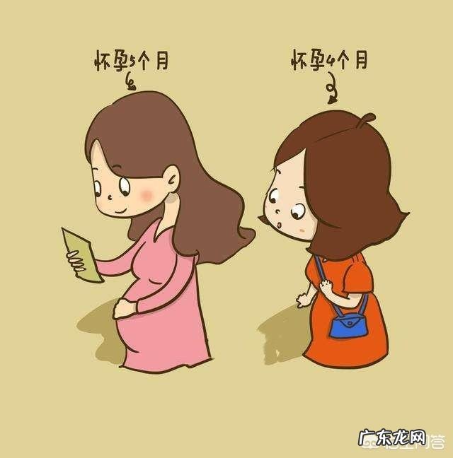 怀孕五个月的肚子应该有多大?需要注意什么?