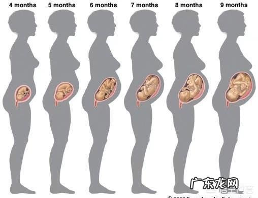 怀孕五个月的肚子应该有多大?需要注意什么?