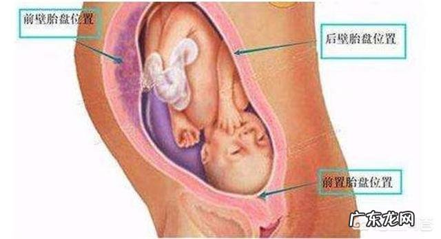 怀孕五个月的肚子应该有多大?需要注意什么?