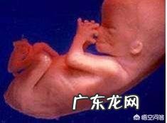 怀孕五个月的肚子应该有多大?需要注意什么?