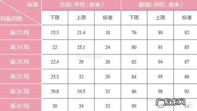 怀孕五个月的肚子应该有多大?需要注意什么?