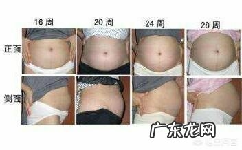 怀孕五个月的肚子应该有多大?需要注意什么?