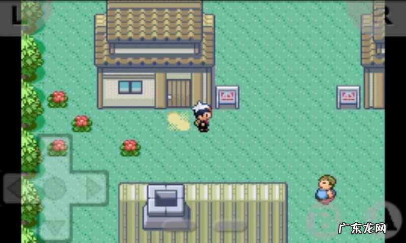 口袋妖怪红宝石攻略