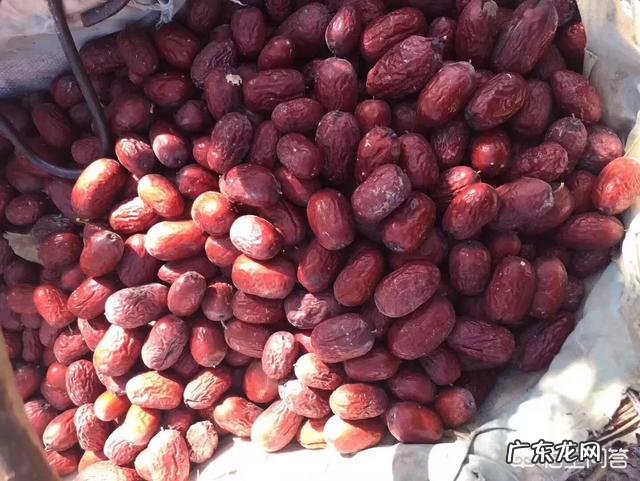 常吃红枣有什么好处?