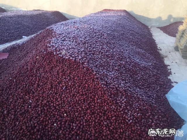 常吃红枣有什么好处?