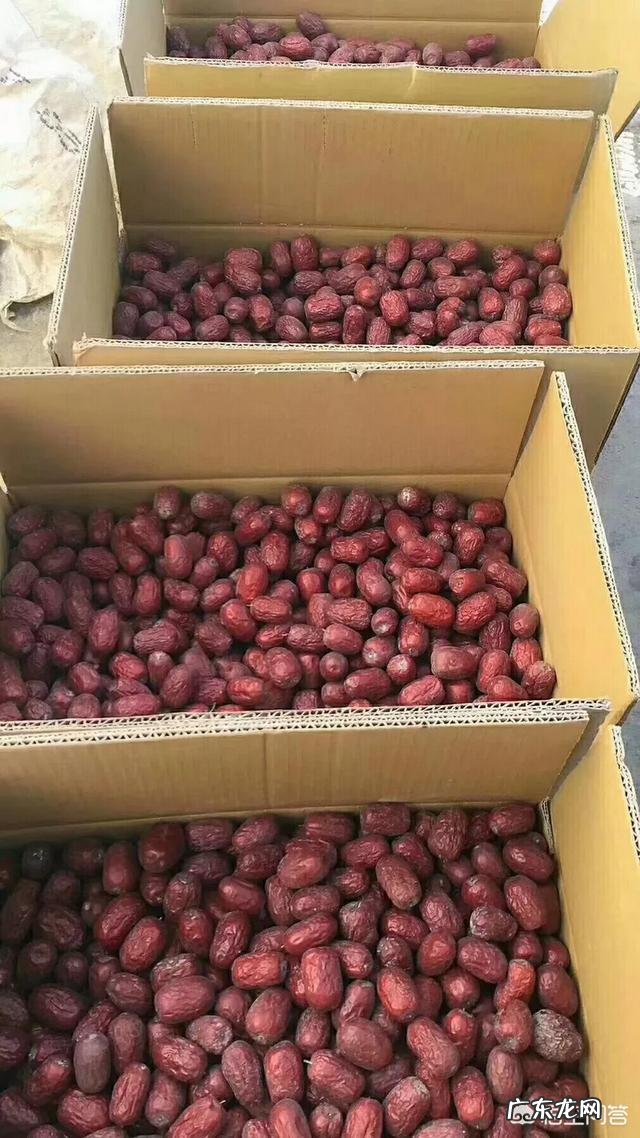 常吃红枣有什么好处?