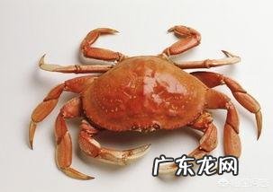 螃蟹煮多长时间?