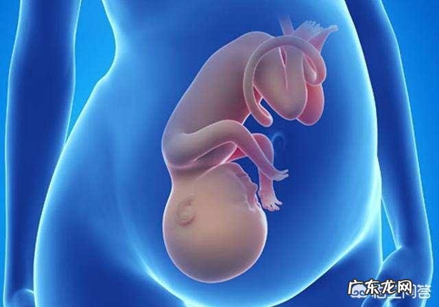 怀孕6个月,宝宝在什么位置?