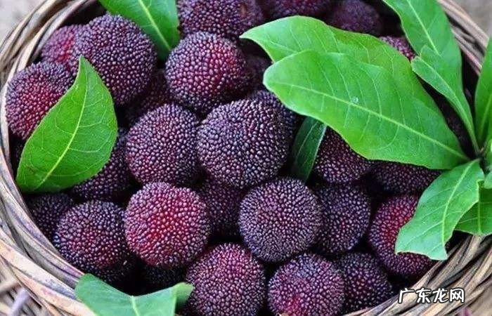 怎么做杨梅才好吃