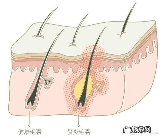 男士护肤品什么牌子好?