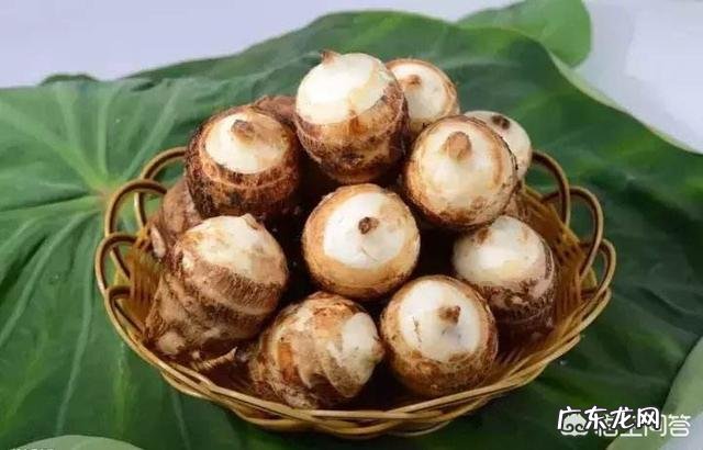 芋头的功效和副作用有哪些?