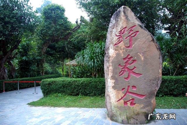 云南被誉为“植物王国”和“动物王国”，你能说出哪些特有的植物花卉和动物种类吗？你觉得去云南旅游怎么样？