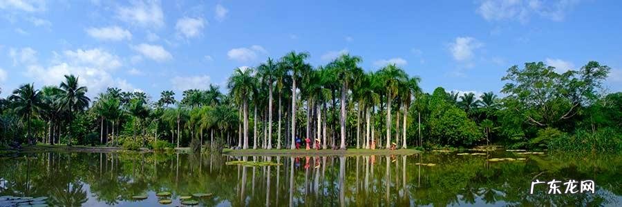 云南被誉为“植物王国”和“动物王国”，你能说出哪些特有的植物花卉和动物种类吗？你觉得去云南旅游怎么样？