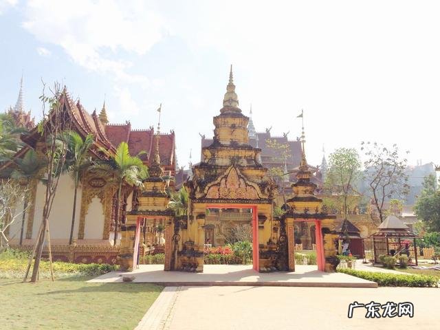 云南被誉为“植物王国”和“动物王国”,你能说出哪些特有的植物花卉和动物种类吗?你觉得去云南旅游怎么样?