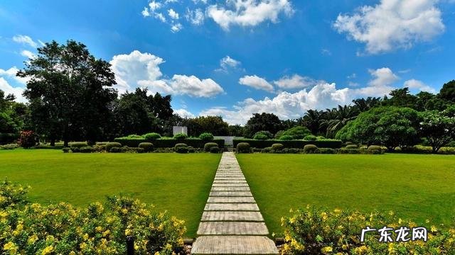 云南被誉为“植物王国”和“动物王国”,你能说出哪些特有的植物花卉和动物种类吗?你觉得去云南旅游怎么样?