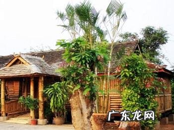 云南被誉为“植物王国”和“动物王国”,你能说出哪些特有的植物花卉和动物种类吗?你觉得去云南旅游怎么样?