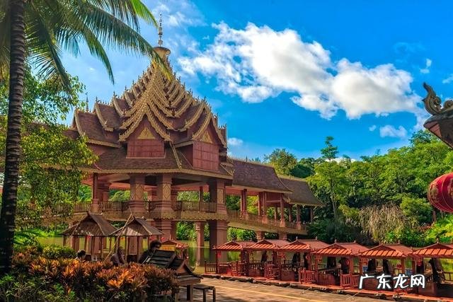 云南被誉为“植物王国”和“动物王国”,你能说出哪些特有的植物花卉和动物种类吗?你觉得去云南旅游怎么样?