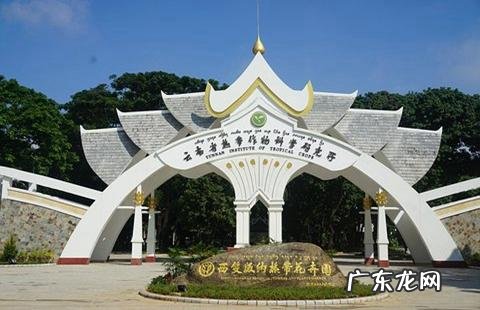 云南被誉为“植物王国”和“动物王国”,你能说出哪些特有的植物花卉和动物种类吗?你觉得去云南旅游怎么样?