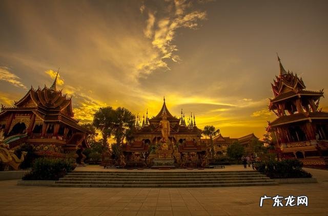 云南被誉为“植物王国”和“动物王国”，你能说出哪些特有的植物花卉和动物种类吗？你觉得去云南旅游怎么样？