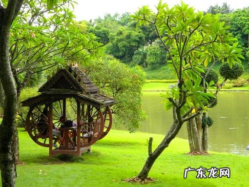 云南被誉为“植物王国”和“动物王国”,你能说出哪些特有的植物花卉和动物种类吗?你觉得去云南旅游怎么样?