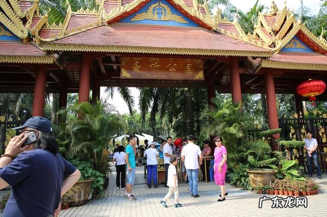 云南被誉为“植物王国”和“动物王国”,你能说出哪些特有的植物花卉和动物种类吗?你觉得去云南旅游怎么样?