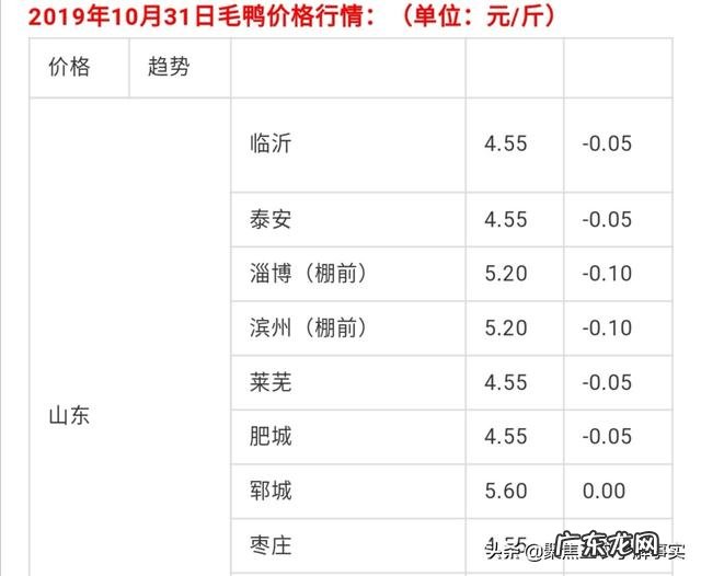 现在养鸭子能挣钱吗？