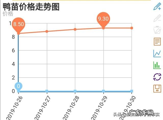 现在养鸭子能挣钱吗？
