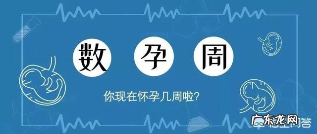 刚开始怀孕几天算一周？