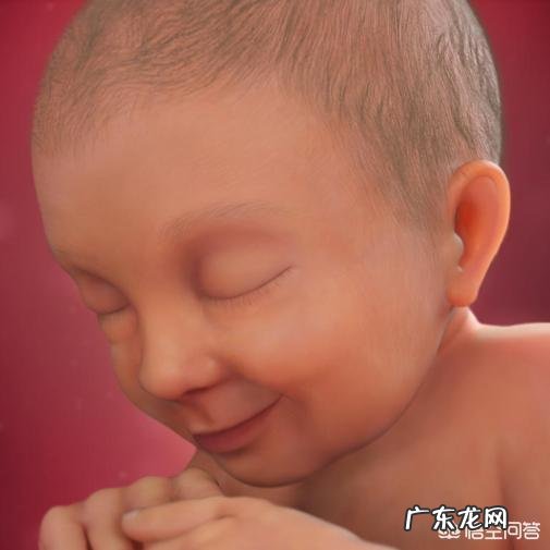 刚开始怀孕几天算一周?