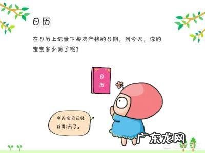 刚开始怀孕几天算一周?