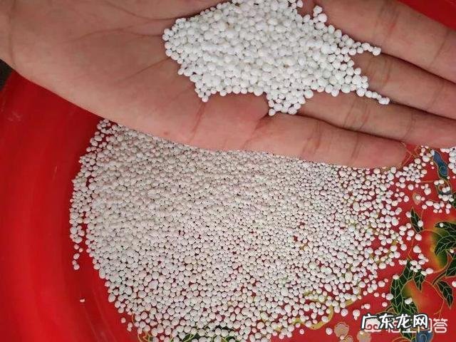 孕妇老上火，能吃点什么降降火呢？