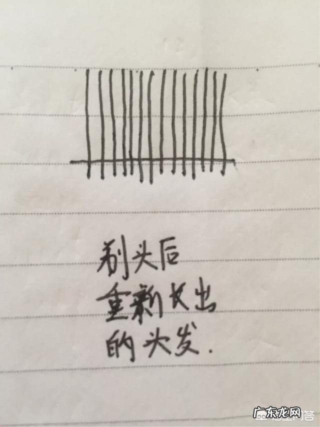 新生儿胎毛要不要剃,如何科学的剃?