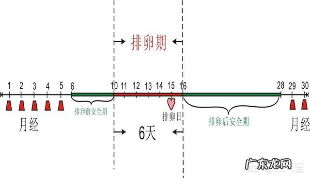 排卵期内没有“白带拉丝”,这意味着没有排卵吗?该怎么办?