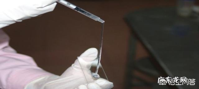 排卵期内没有“白带拉丝”,这意味着没有排卵吗?该怎么办?