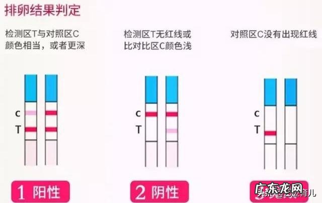 排卵期内没有“白带拉丝”，这意味着没有排卵吗？该怎么办？