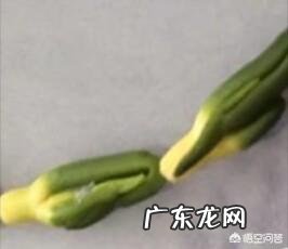 农村常见的莲子蕊有什么功效和作用呢?